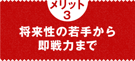 メリット3　将来性の若手から即戦力まで